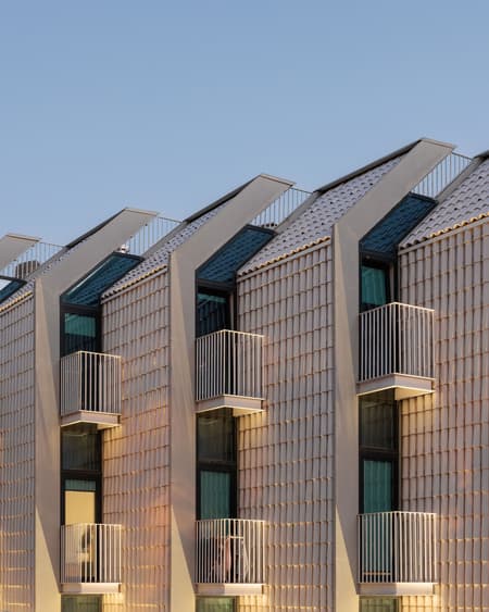 Studentville Housing